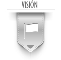 vison